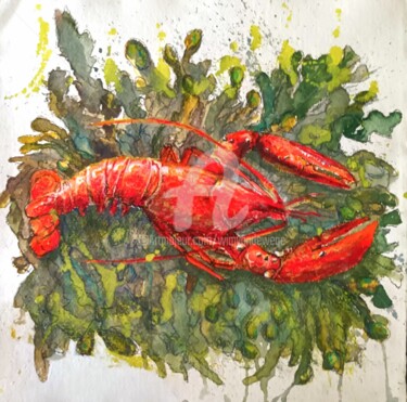 Lobster on seaweed